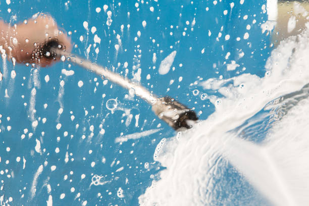 Animal Enclosure Cleaning in Kemp, TX
