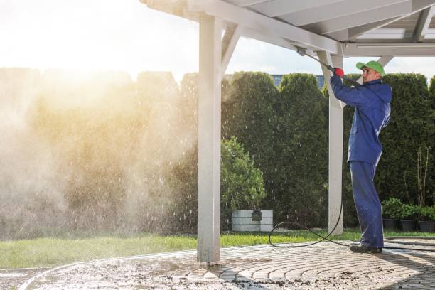 Best Sidewalk and Walkway Cleaning  in Kemp, TX