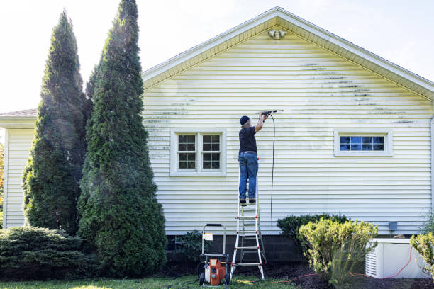 Best Driveway Pressure Washing  in Kemp, TX